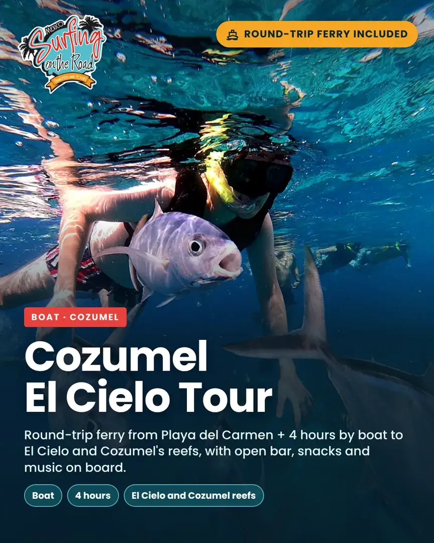 Cozumel El Cielo Boat Tour