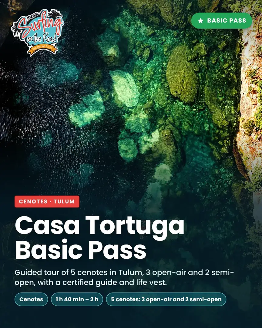 Casa Tortuga Basic Pass