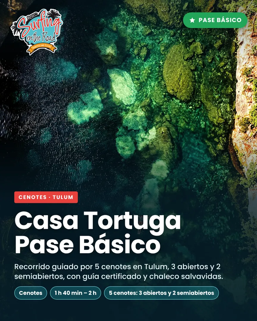 Casa Tortuga Pase Básico