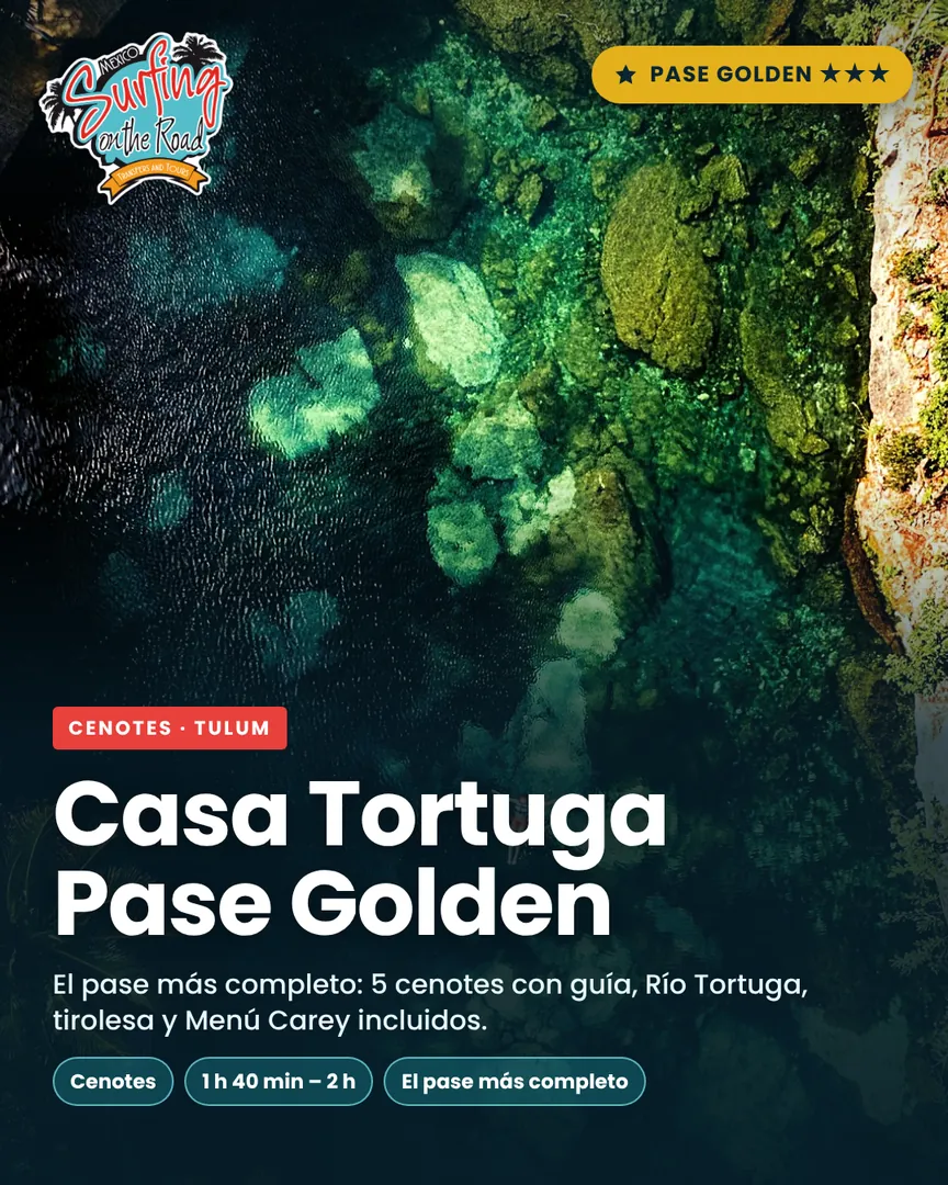 Casa Tortuga Pase Golden