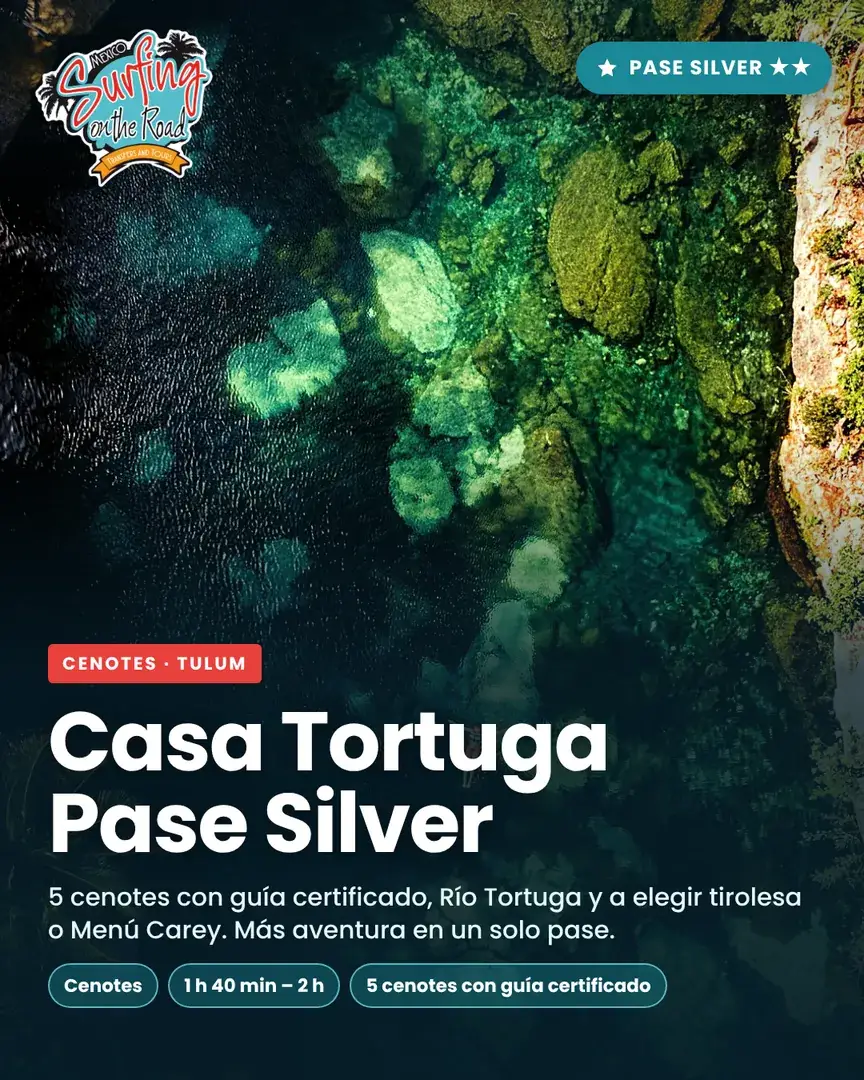 Casa Tortuga Pase Silver